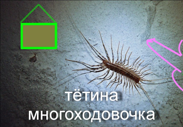 Дилемма 18+