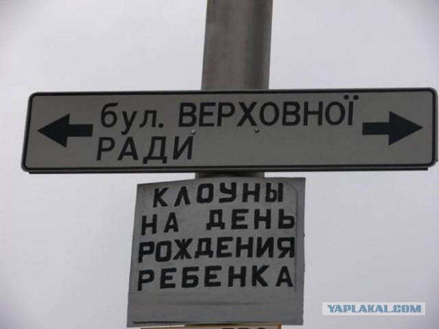 Мужчина заколол во время "дуэли" на шампурах своего будущего зятя