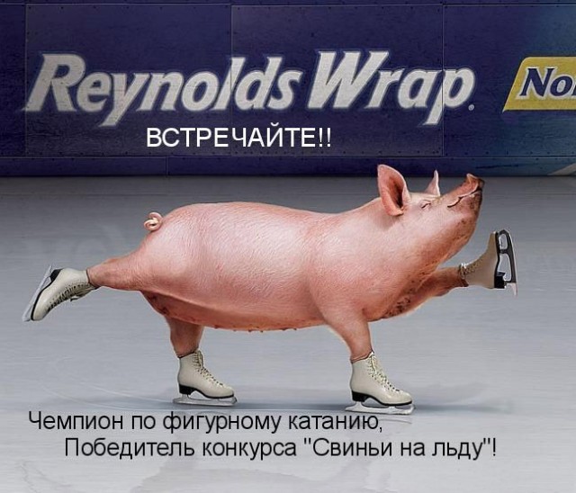 ХРЮШКИ. Уголок Пятачка, кабаны, свиньи