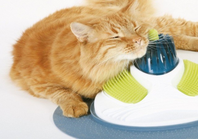 17  изобретений, которые придутся по душе всем владельцам котов