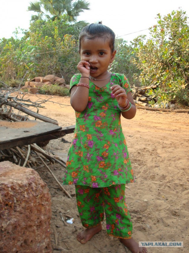 Отдых в Гоа