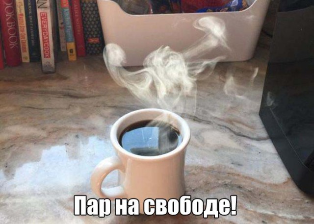 Подборка безудержного веселья