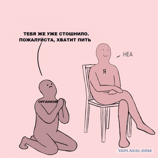 Очередная порция перлов