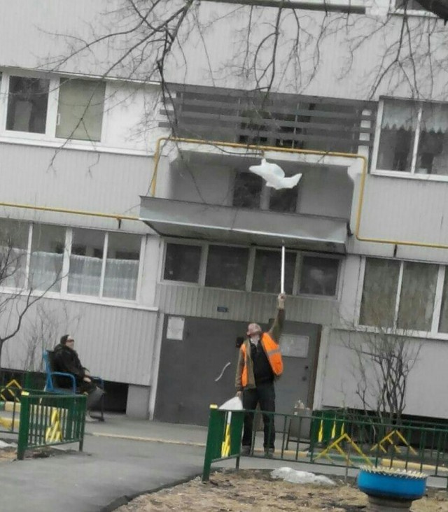 Подборка интересных и веселых картинок