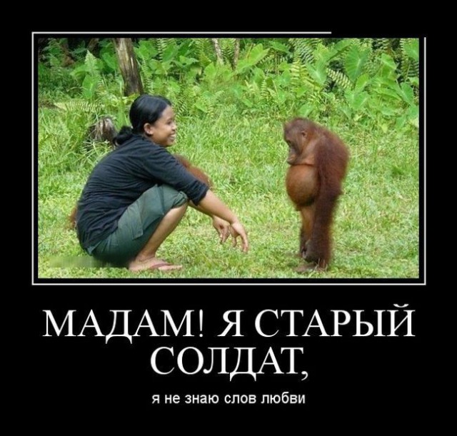 Очень много годноты