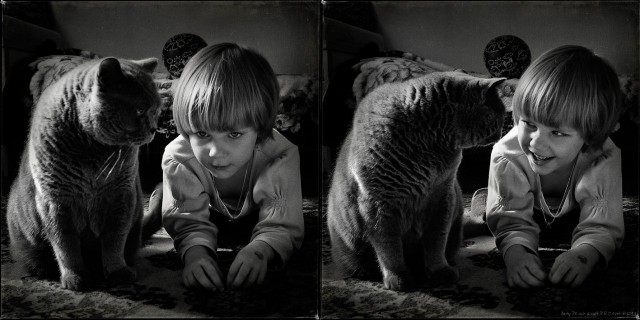 Коты и маленькая девочка