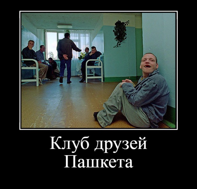 Друзья Пашкета  (Клуб друзей Пашкета)