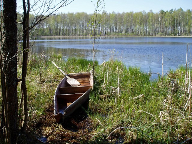 Вятский гектар