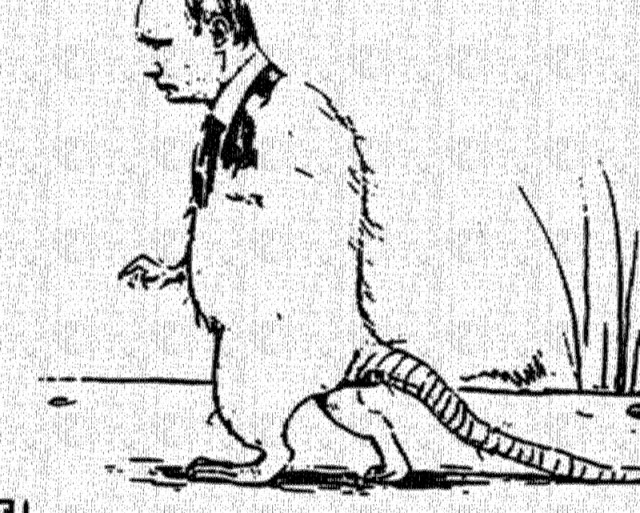Путин отменил все публичные мероприятия