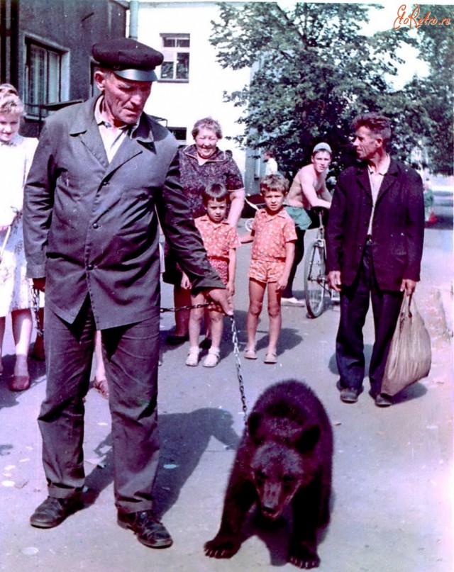Период распада