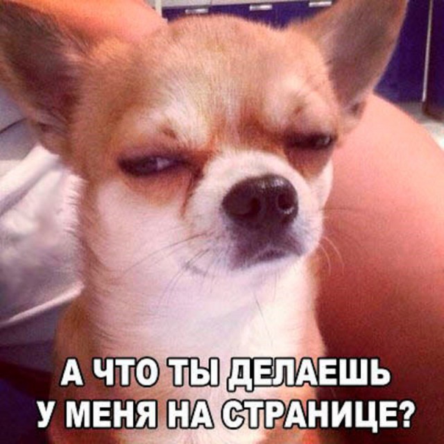 Картинки по-приколу