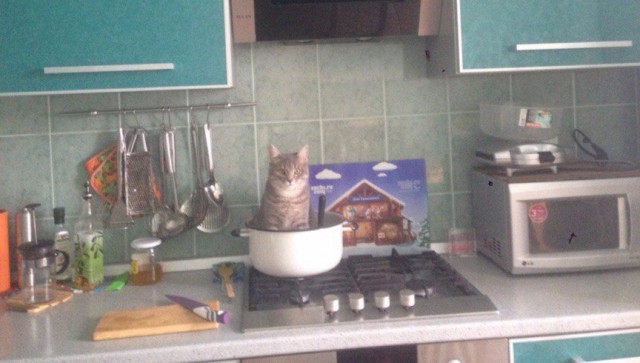 Немного милоты