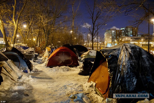 Холодная погода сеет хаос в США