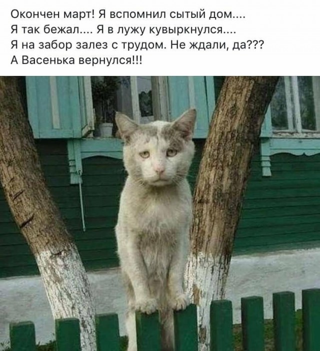 Подборка интересных и веселых картинок 16.04.19