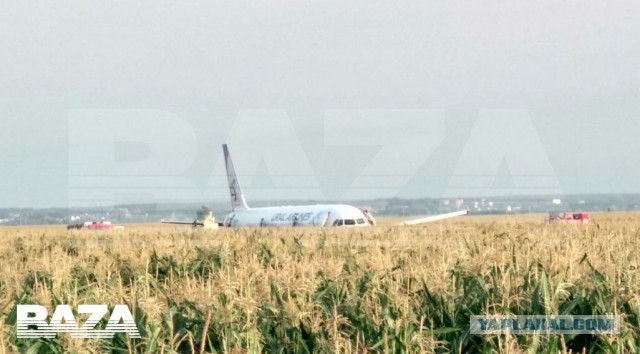В Подмосковье пассажирский самолёт Уральских Авиалиний экстренно приземлился в поле