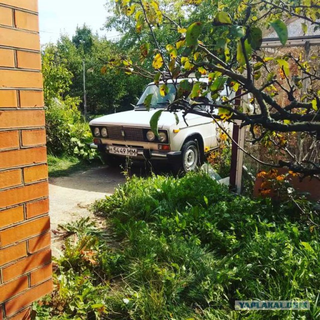Куплю у ЯПовцев авто до 350 тысяч