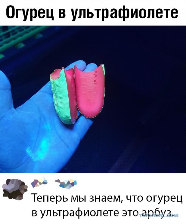 Подборка интересных и веселых картинок 22.10.19