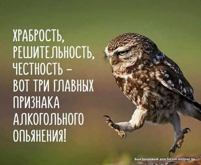 Забавные шутки, картинки и фразы из этих ваших интернетов