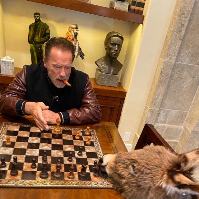 Шварценеггер сыграл в шахматы с ослицей