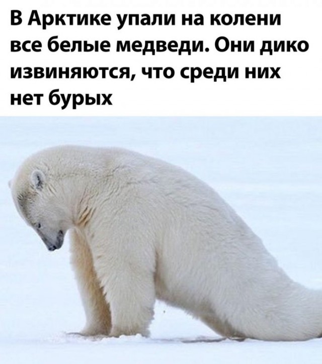 Немного картинок для настроения 23.07.20