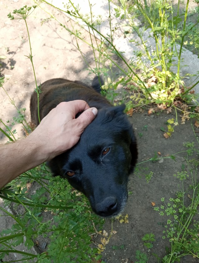 Каждое лето такое бывает
