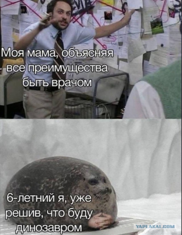 Картинки с надписями фразы и анекдоты