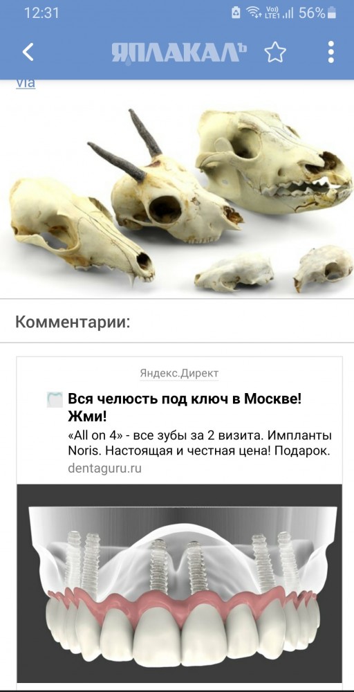 В Петербурге плотник украл 50 черепов животных из Зоологического института, которые потом продал десятикласснику одной из школ