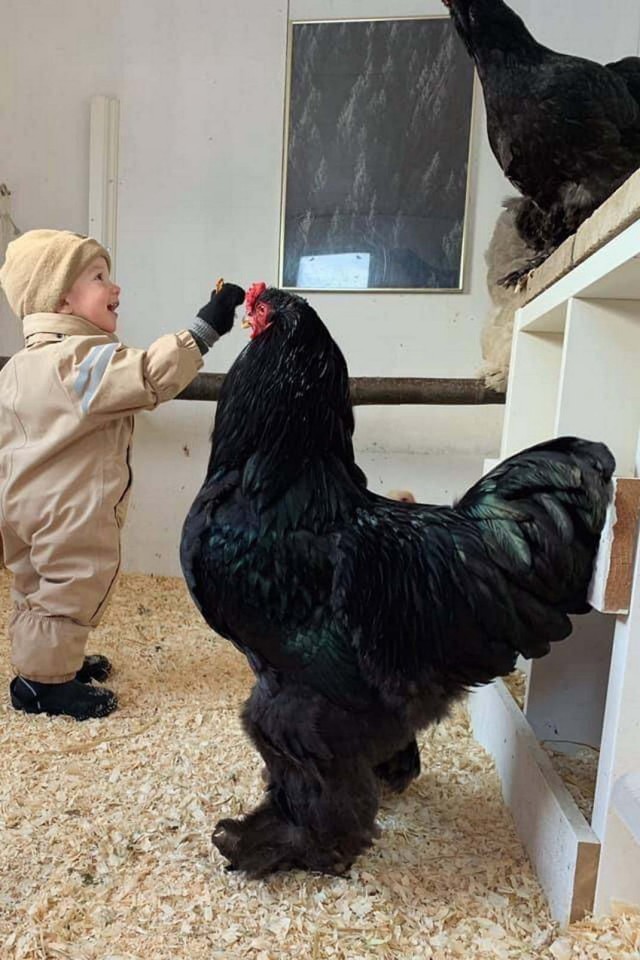 Картинки разные от 13.02