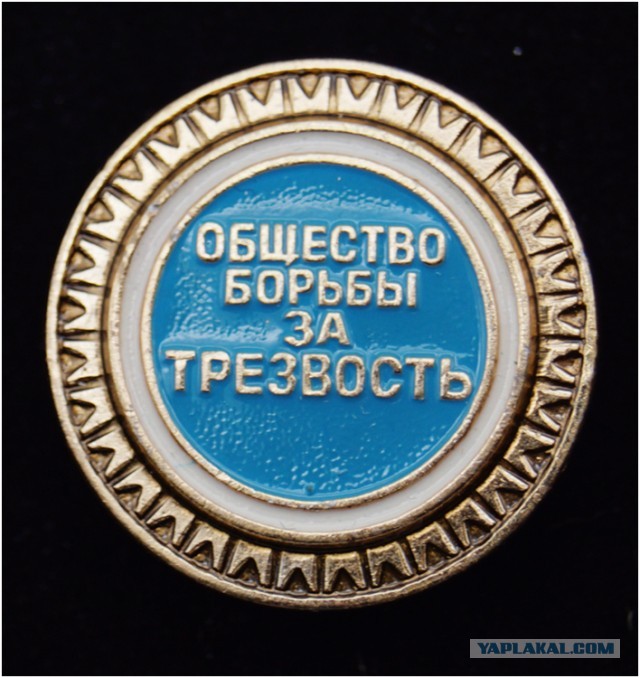 «Приключения» нетрезвой семьи из Белгорода