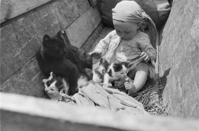 Калейдоскоп картинок