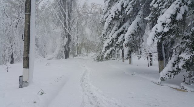 Все деревья а серебре, пляшут зайцы на горе, на реке сверкает лёд, наступает...