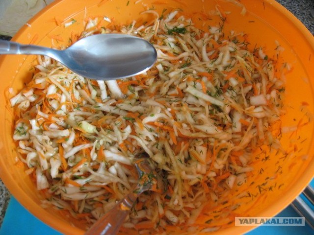 Капуста International, Наступила осень, отцвела капуста...