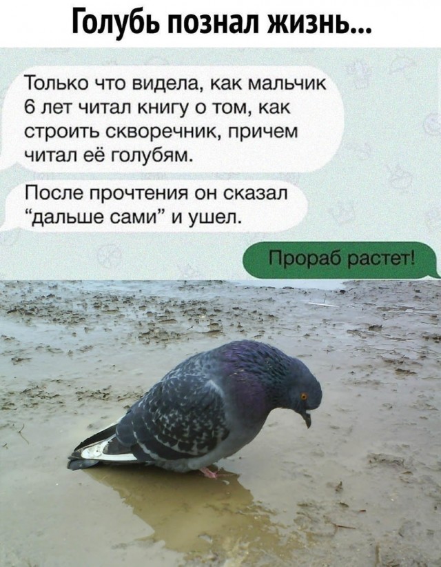 Так себе картинки 18.07.21