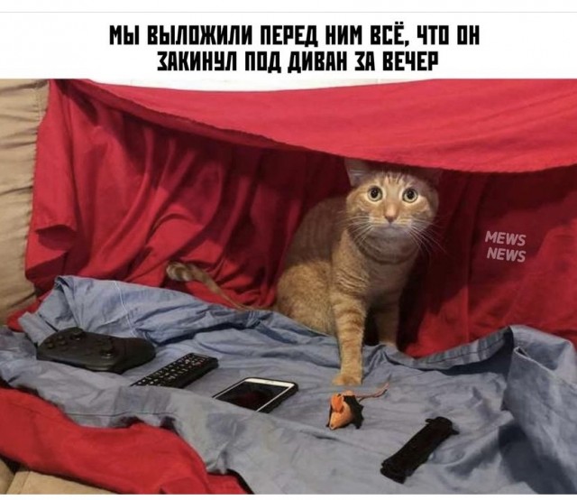 Так себе картинки 15.08.21