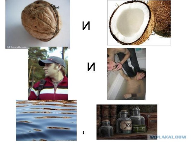 Ребусы