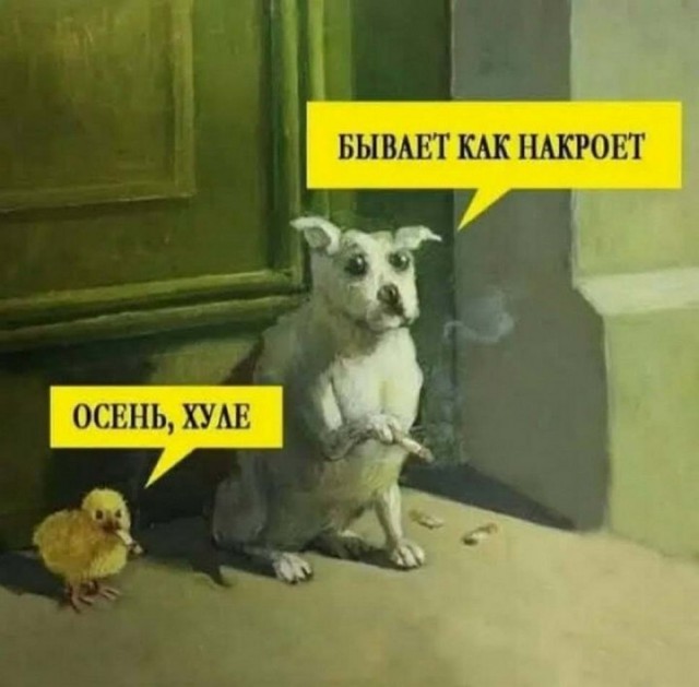 Картинки и мемы, всем прекрасных выходных