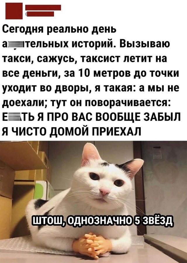 Так себе картинки 12.10.21