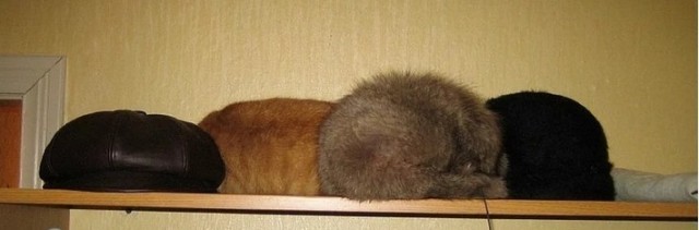 Секс для мужчины и для женщины
