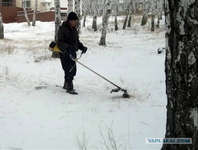 Картинки и мемы, всем отличных выходных
