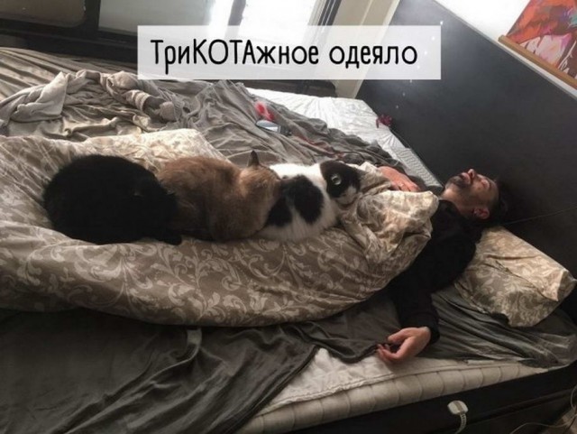 Картинки и мемы для настроения - 21