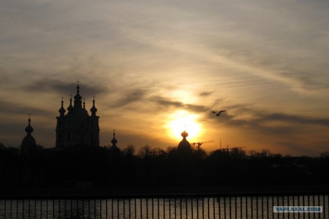 СПб глазами уставшего туриста...