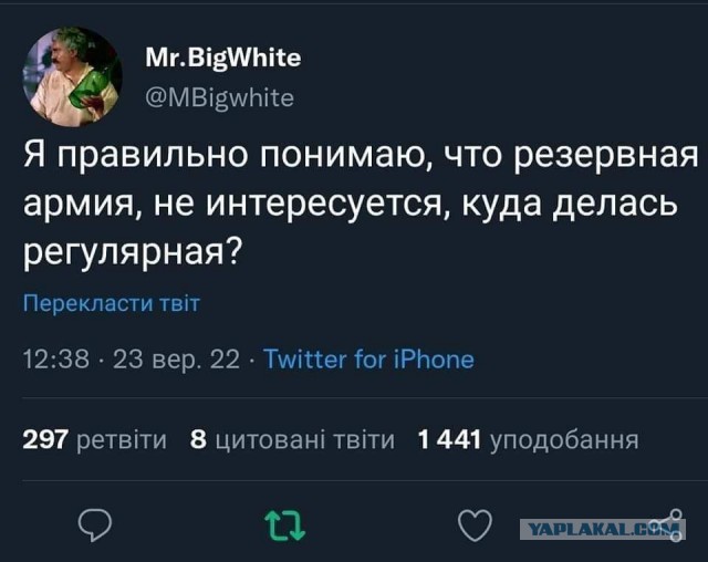 Спецназовцы ВС РФ записали обращение к мобилизованным