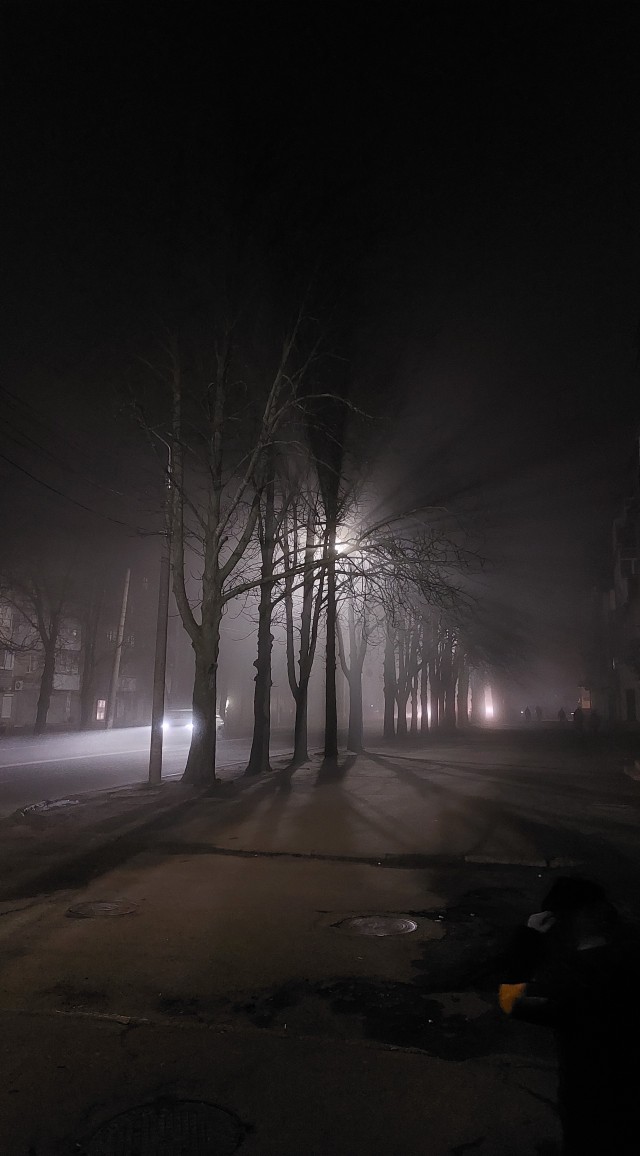 Одно зимнее фото