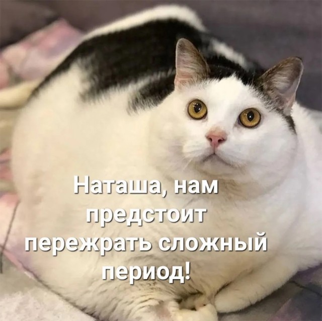 Немного картинок и прочей хреноты Vol. 20