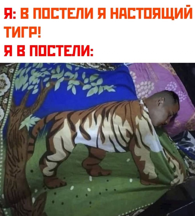 Картинки и мемы, всем хороших выходных