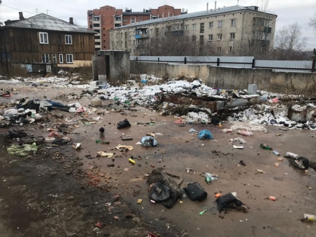Первые леопарды прибыли