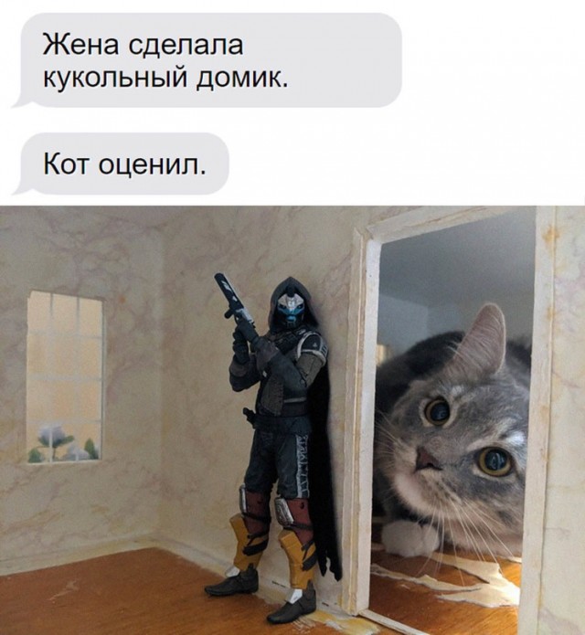 Немного картинок для настроения - 161