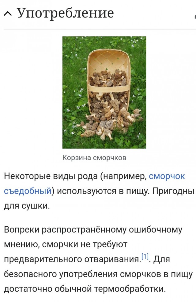 Грибник собрал корзину гигантских строчков и комплект боеприпасов для миномета