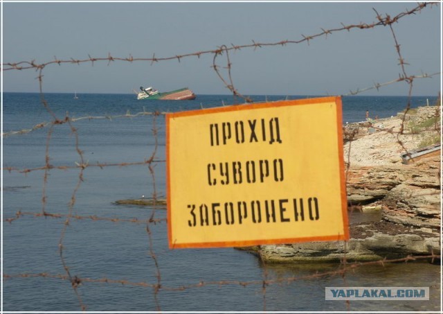 Крым. Любимовка. Пляж.