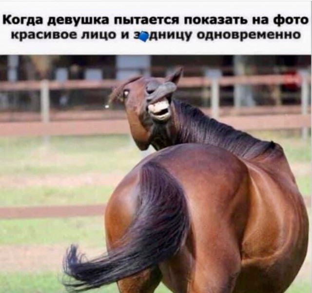 Юмор в картинках и без